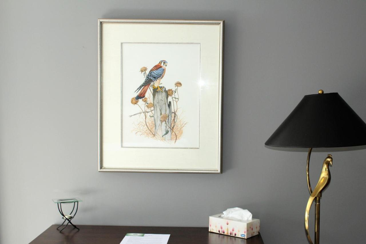 Tailwinds B&B Erin Eksteriør bilde
